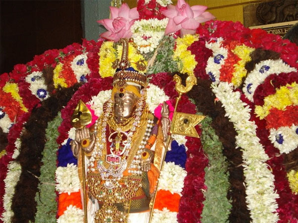 murugan travels tour packages from madurai