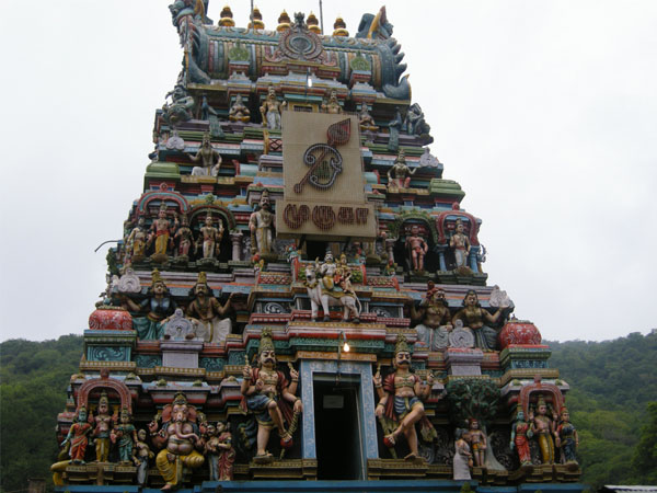 murugan travels tour packages from madurai